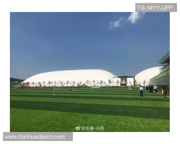 洛扎足球的崛起与发展探析：一项运动如何改变小镇的未来与梦想