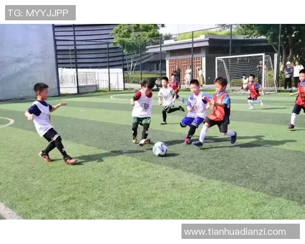 足球明星孙子的成长历程与成就简介及其对足球的影响分析